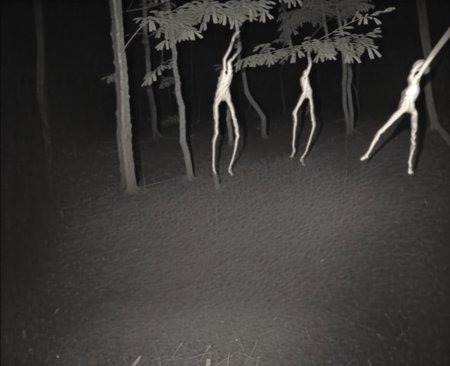 01490-4101983954-araffes in the dark walking in the grass near a fence, suspended by the hands, polycount, antipodeans, in the woods at night, sc.jpg